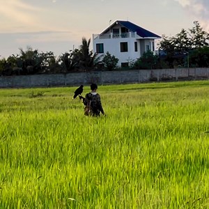 10M views · 161K reactions | Harris Hawk with HuntingTraining | Me Kwan Daily | Facebook