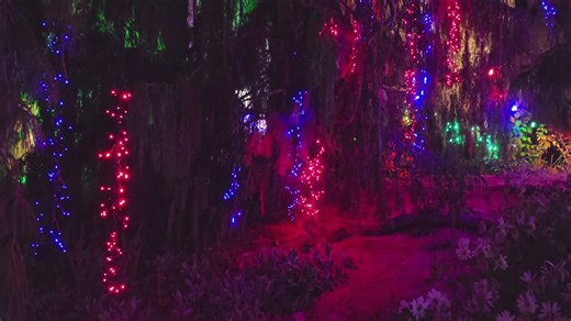 Quad City Botanical Center’s Winter Lights display to open Nov. 21