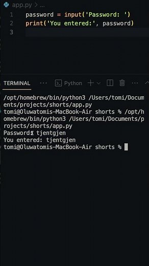 How to hide user input in Python