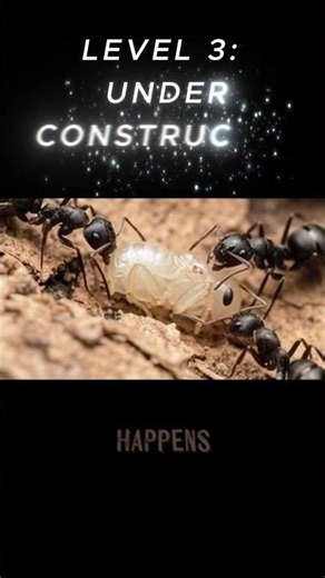 This Tiny Speck Becomes a Soldier 🐜 #Shorts