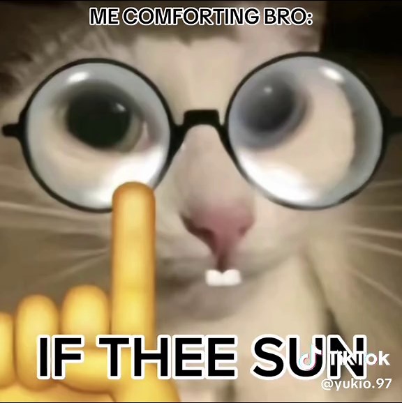 Motivational Frog Quotes for Daily Inspiration