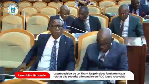 🎥 le résumé en vidéo de la plénière de ce mercredi 07 mai 2025 | Assemblée nationale RDC