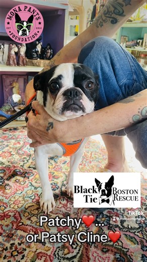 14K views · 1.2K reactions | Our friends over at Black Tie Boston...