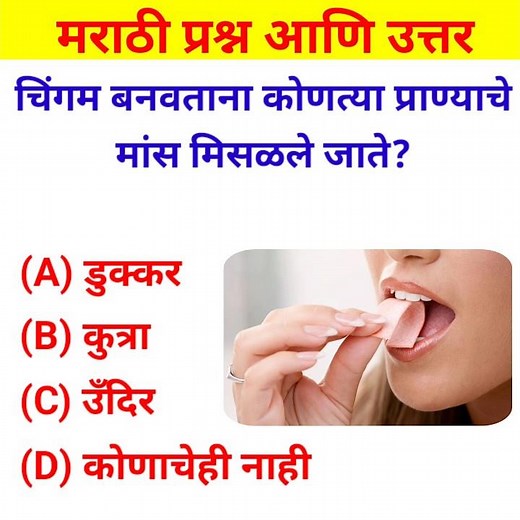 General knowledge in Marathi || Gk Quiz 2024 |` #shorts #marathigk