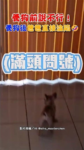 養狗前說不行！養狗後爸爸直接淪陷🤣｜觸咪 #shorts ‪@Truemii‬