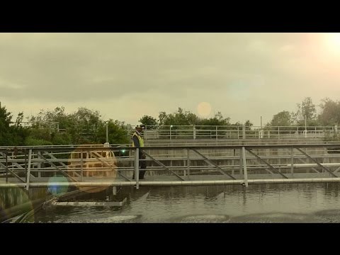 How Loop® Biosolids are Made