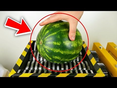 SHREDDING WATERMELON and Other Vegetables !! - THE SHREDDER SHOW - EXPERIMENT AT HOME