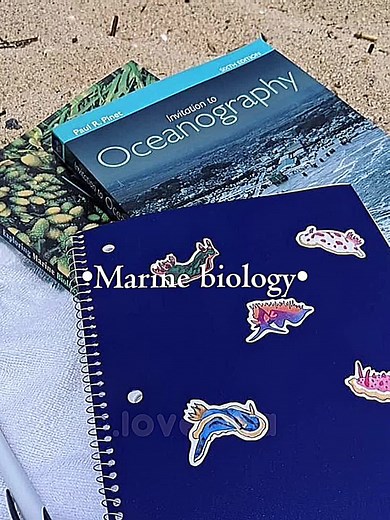 Exploring Marine Biology: Aesthetic Insights
