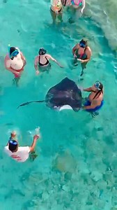 Disfruta el acuario mágico 🏝️y el avistamiento 💯 de mantarraya en el tour amanecer 🤳San Andrés isla💫 Servicio 🎉 de drone alta tecnología. #viralreelschallenge #turismocondrone #vistaalmar #pontones #drone #islasai #acuariosai #chilenos #brasil https://wa.me/c/573136497574 https://www.facebook.com/groups/590286449943849/?ref=share https://instagram.com/ronald_aventuras_sai_matiasiel https://maps.app.goo.gl/dKPacA2uyBB441ns5 | Ronald Aventuras Sai