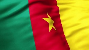 Close up view of Cameroon flag video waving in wind. Realistic flag background, fabric textured, perfect loop, official colors, 4K video