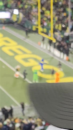 325K views · 6.9K reactions | Dancing Bears at Ducks Game | Grateful Web | Facebook