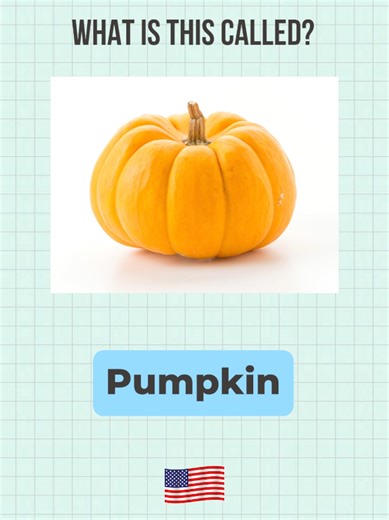 Essential Vegetable Vocabulary for Beginners