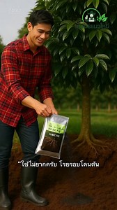 🌳#ดินดีพืชโตไว ฮิวมิคพลัส (Humic Plus) เป็นสารปรับปรุงดิน -ส่งเสริมจุลินทรีย์ในดิน ช่วยให้ดินอุ้มน้ำและระบายอากาศได้ดี - ลดความเป็นพิษของสารที่สะสมอยู่ในดิน -ส่งเสริมการดูดซึมแร่ธาตุ เพิ่มประสิทธิภาพธาตุอาหารให้พิืช -ช่วยเรื่องแรงยึดเหนี่ยวในระบบรากทำให้รากพืชแข็งแรง -เป็นสารธรรมชาติไม่มีความเป็นพิษต่อ พืช 📌#โปรฯพิเศษ ฮิวมิคพลัสครับ 1 ก.ก. 390 บาท 2 ก.ก. จาก 780 บาท 💥เหลือเพียง 750 บาท 🚛#จัดส่งฟรี 3 ก.ก. จาก 1170 บาท 💥เหลือเพียง 1050 บาท 🚛#จัดส่งฟรี 5 ก.ก. จาก 1950 บาท 💥เหลือเพียง 1600 บา