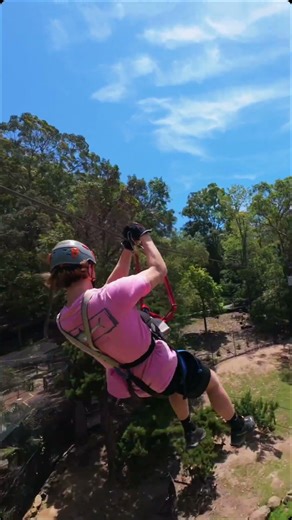 TreeTop Challenge - Currumbin Wildlife Sanctuary will have you soaring above crocs, kangaroo and emu