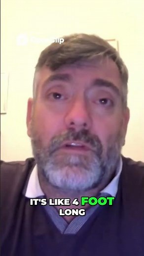 This Auction Was a Total Disaster 😡