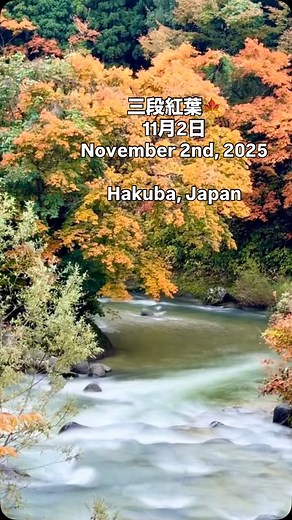  Yamano Hotelでのんびり白馬時間 駐車場にお猿さんたちが遊びに来てくれました！...