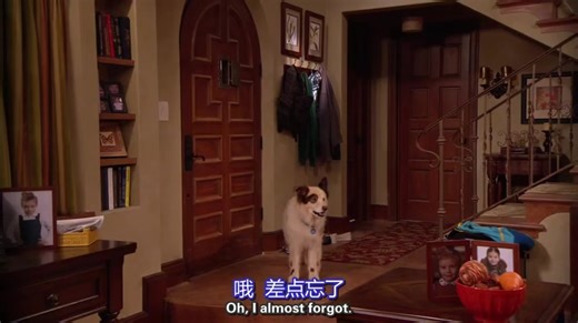 【狗狗日记】 转载  第一季 dog with a blog-月亮与土豆泥-电影-哔哩哔哩视频