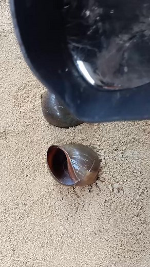 1.4M views · 3.3K reactions | Simple Ideas but very useful⚒⚙! #craft #diy #tools #tips #repair | M09 | Facebook