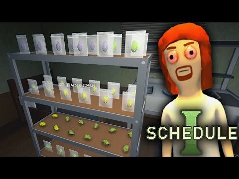 When to use Baggies or Jars in Schedule 1 (Quick Tip)