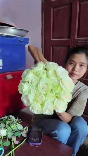 #Netherlands #နှင်းဆီ