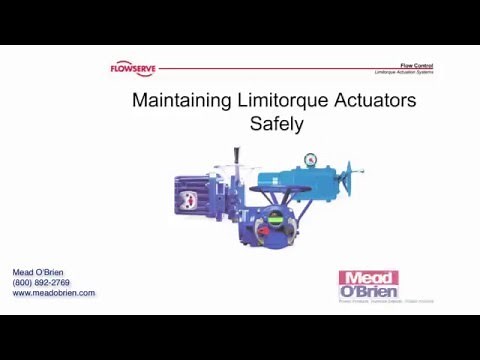 Flowserve Limitorque Actuators: General Safety Precautions and Practices