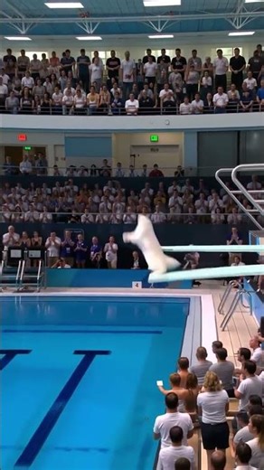 Cat Olympics