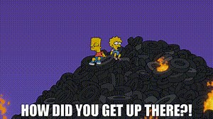 How did you get up there?!