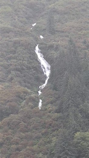 Michael Gillespie on Reels