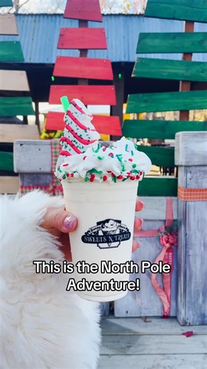 The Shepherd of the Hills on Instagram: "Welcome to the North Pole Adventure! 🎄🎅#bransonmo #family #christmas #tourism"