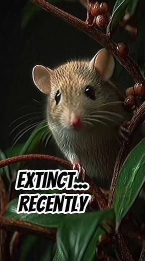 Animals That Went Extinct Recently 😢