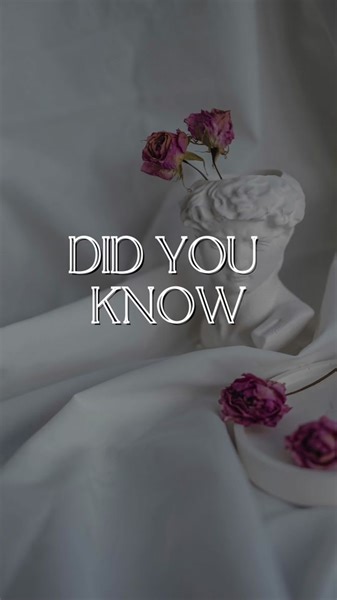 TikTok · Digital Dolla$