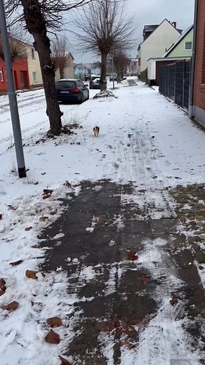 Jürgen Ickert on Reels