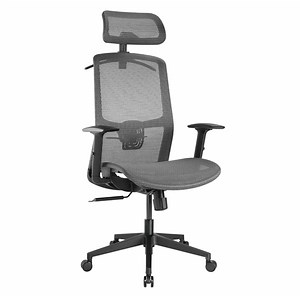 Desky Adjustable High Back Mesh Chair
