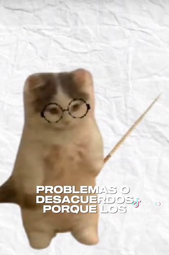 La cultura de la paz explicada con michis