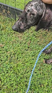 Heather Gavitt on Reels