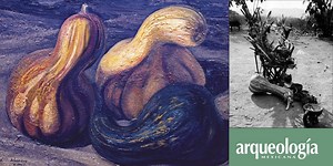 La calabaza en la historia