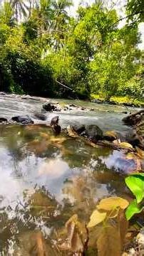 Super Extreme El Niño Tara sa Malamig na Ilog Tayabas 🌊