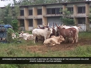 INVESTIGATION: Despite Shortage of Schools In State, Akwa Ibom Abandons Top Multi-Billion Naira College