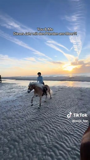 Schickt das Video an jemanden, mit dem ihr zusammen ans Meer fahren wollt 🌊🙋🏼‍♀️🥳 #pferd #urlaubmitpferd #pferdammeer #mitpferdansmeer