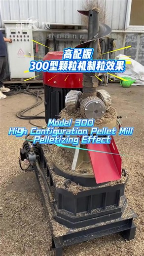 Model 300 High Configuration Pellet Mill: Pelletizing Effect Demo