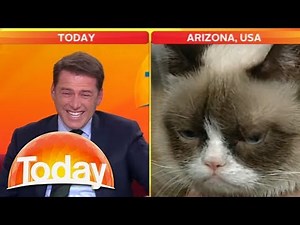 Reporter can't stop laughing at Grumpy Cat | Reporter Laughing at Cat