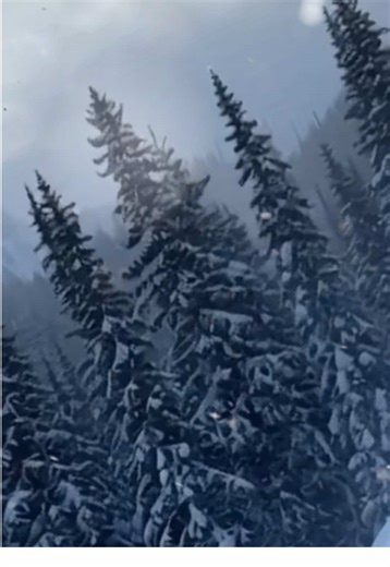 Amor♾️♥️The💀Reborns🔥🕷️ The Journey of Life Lost Beyond the Containment Zone Echo Flux 4 #antartica #icewall #flatearth #mammoth #sora @Rainlover🌧 @awakenbyhrs