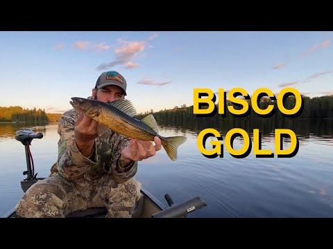 Lake Biscotasi Fishing and Camping September 2024