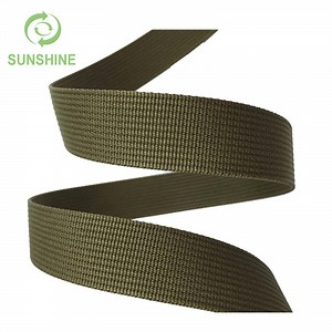 [Hot Item] PP/Pet Yarn Webbing Belt Strap for Garment Accessories