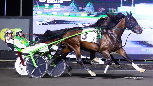 Paquet Perfect In Canadian Graduate Prelims