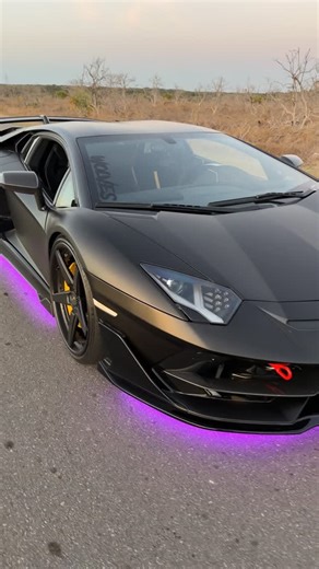 Alex Ferreira on Instagram: "SVJ Wrapped like Batmobile 🦇🖤🏁 . . . @wolvesdencustoms_ @lowglow.shop . . . #svj #lamborghini #batman #aventadorsvj #myexoticars"