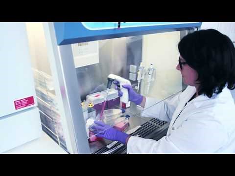 Mit Merlin Prozesse modellieren