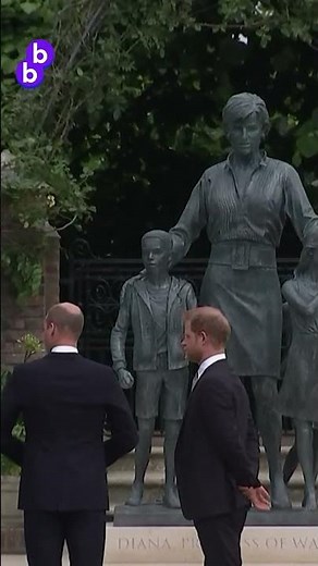 William & Harry have grown apart 💔 #PrinceWilliam #PrinceHarry #blueblood