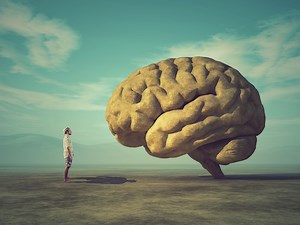 Alzheimer's breakthrough: Cancer drug wakes up sleepy brain cells in mice and human brain cells