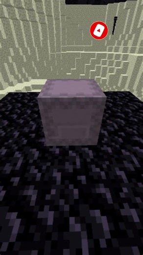 POV You Try to transfer the Shulker to the farm